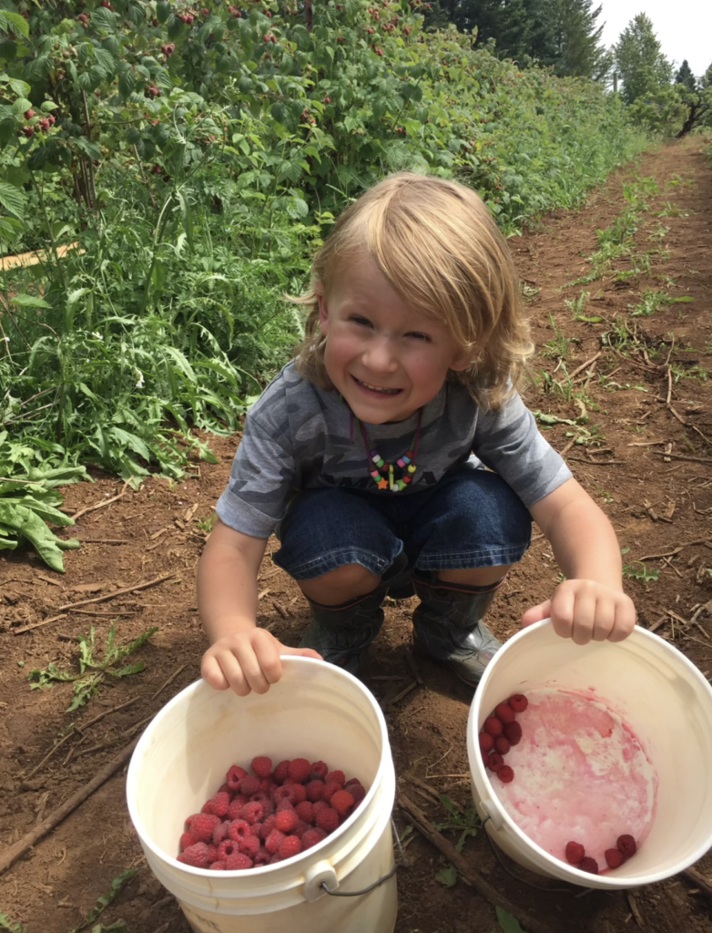 child harvesting his berries